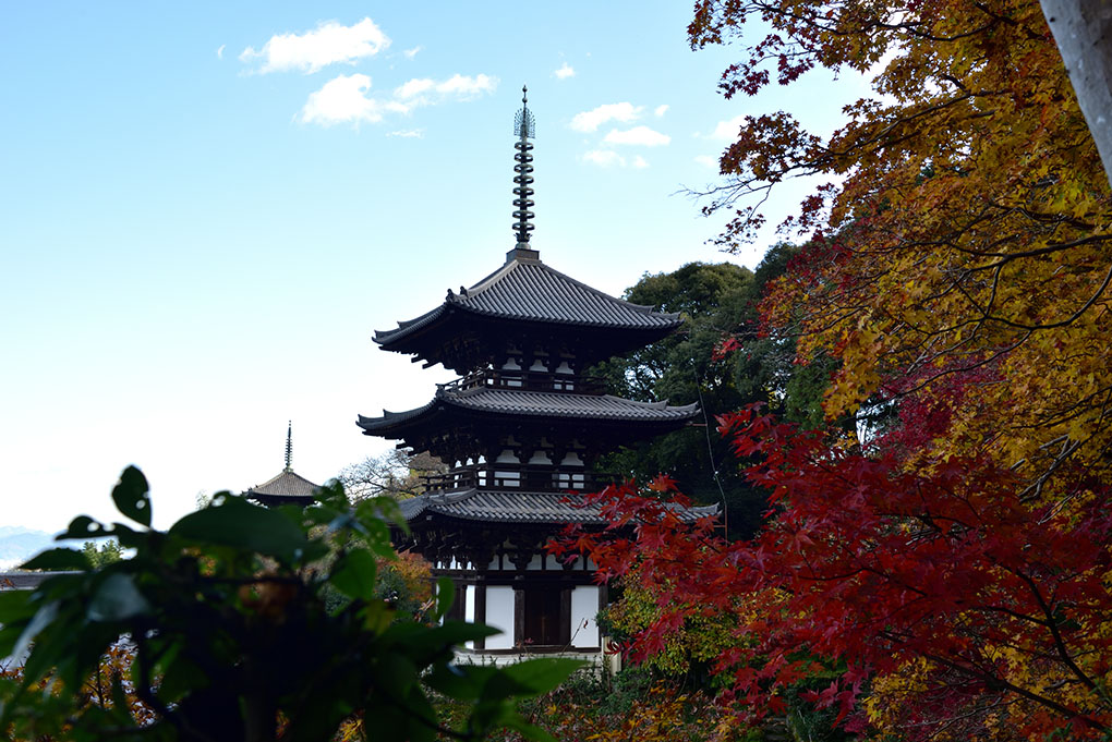 當麻寺西南院