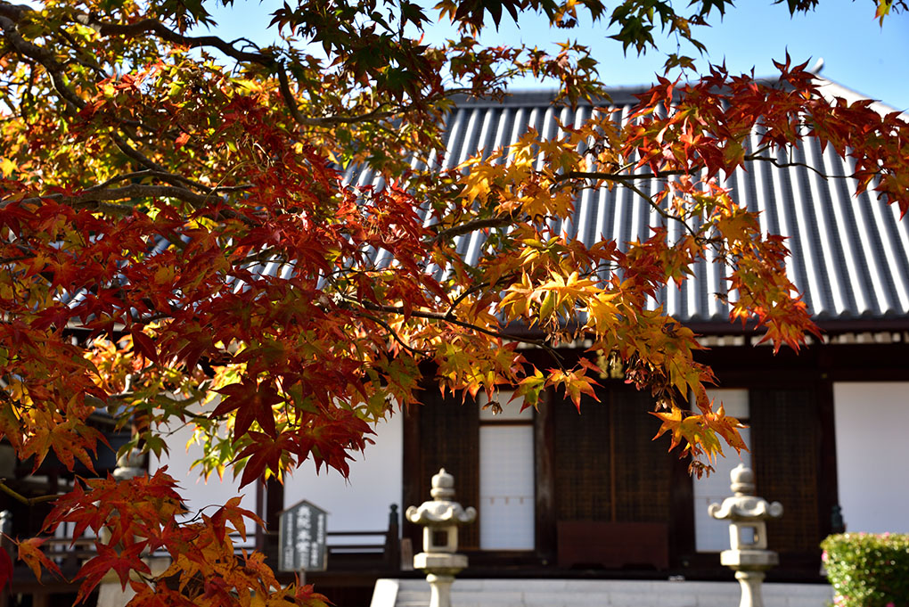 當麻寺奥院