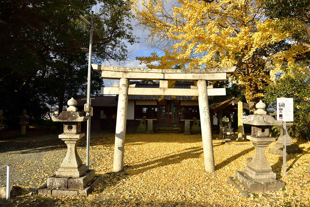 黄金の神社