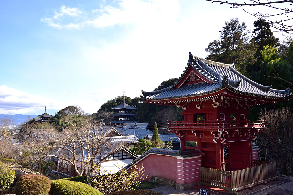 冬の當麻寺