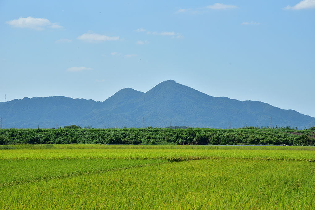 お彼岸