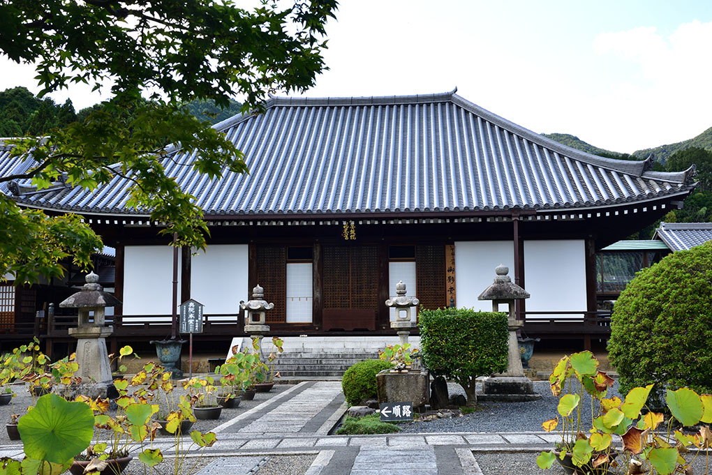 當麻寺奥院の彼岸花