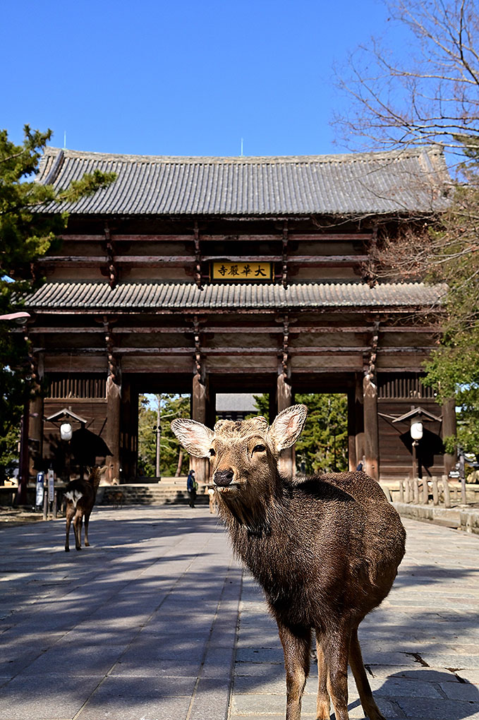 コロナ終息祈願