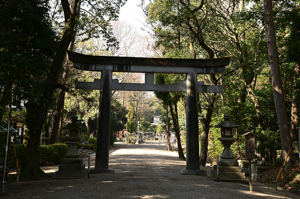 石上神宮の牛