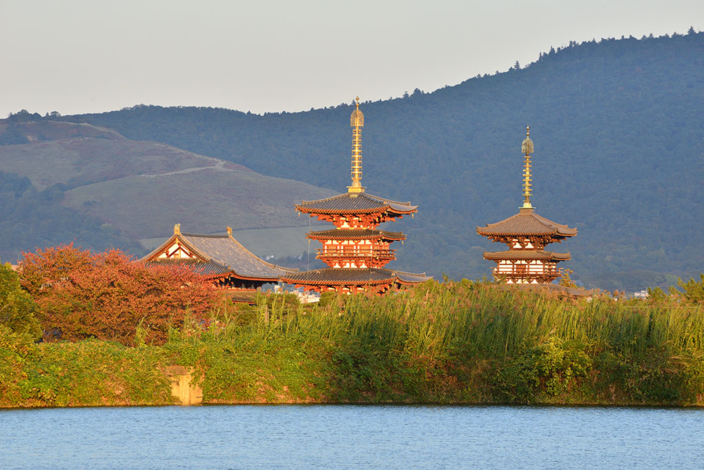 薬師寺と月