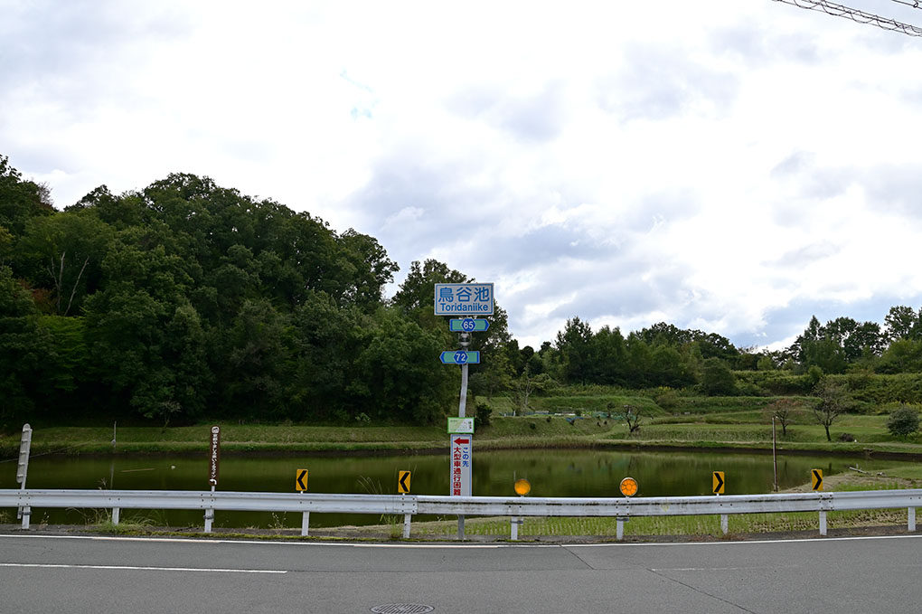 久しぶりの越境