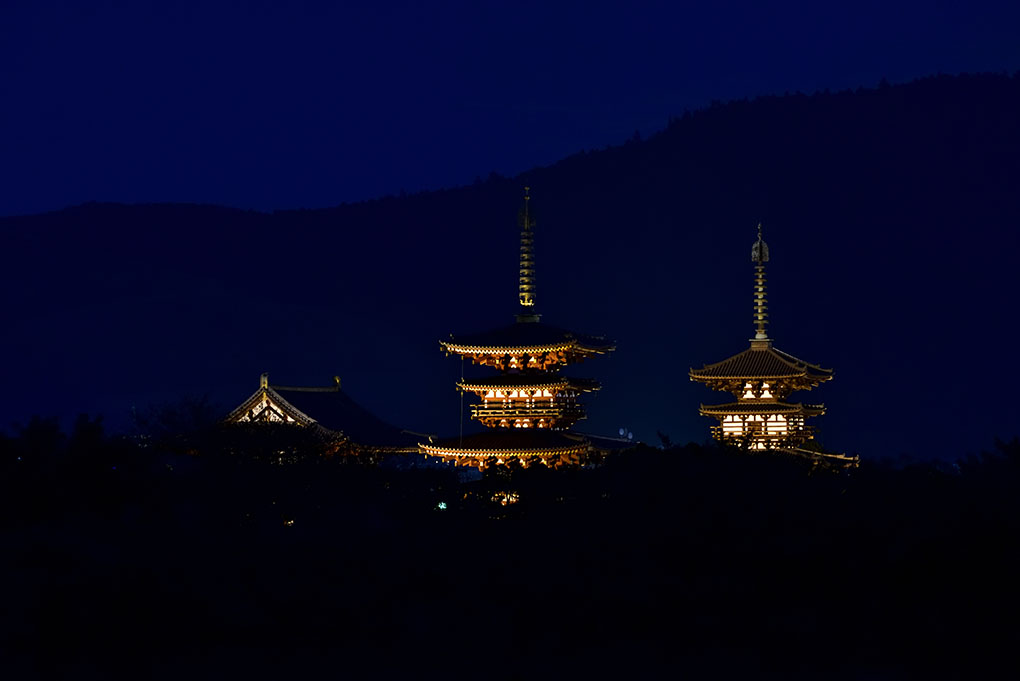 薬師寺を撮る日