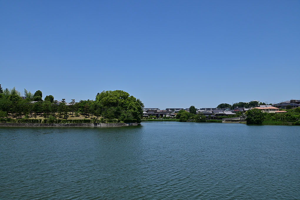 紫陽花の季節