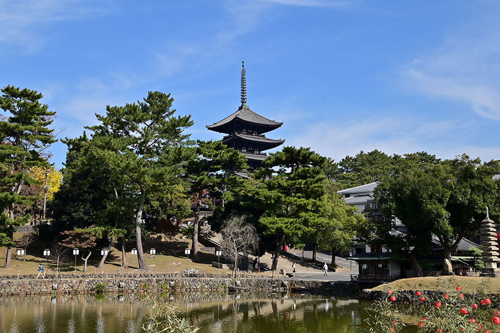 日本一の国宝寺