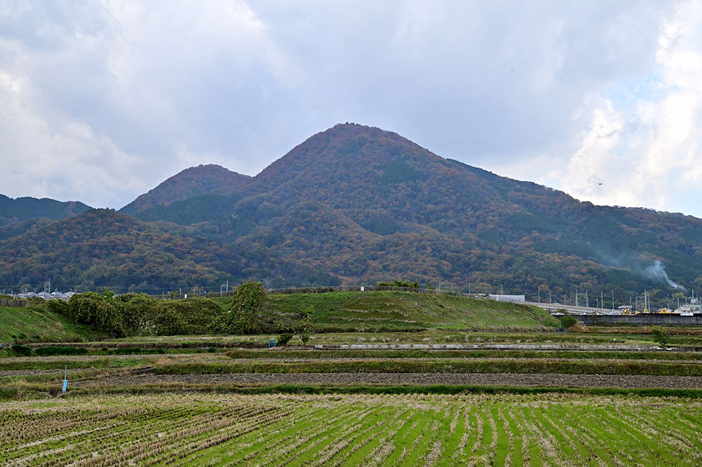 二上山、秋の装い