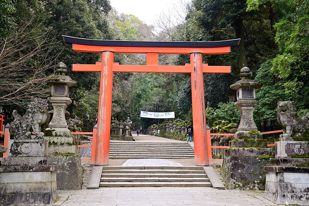 春日大社で初詣