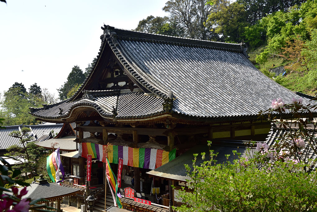 龍蓋寺（岡寺）