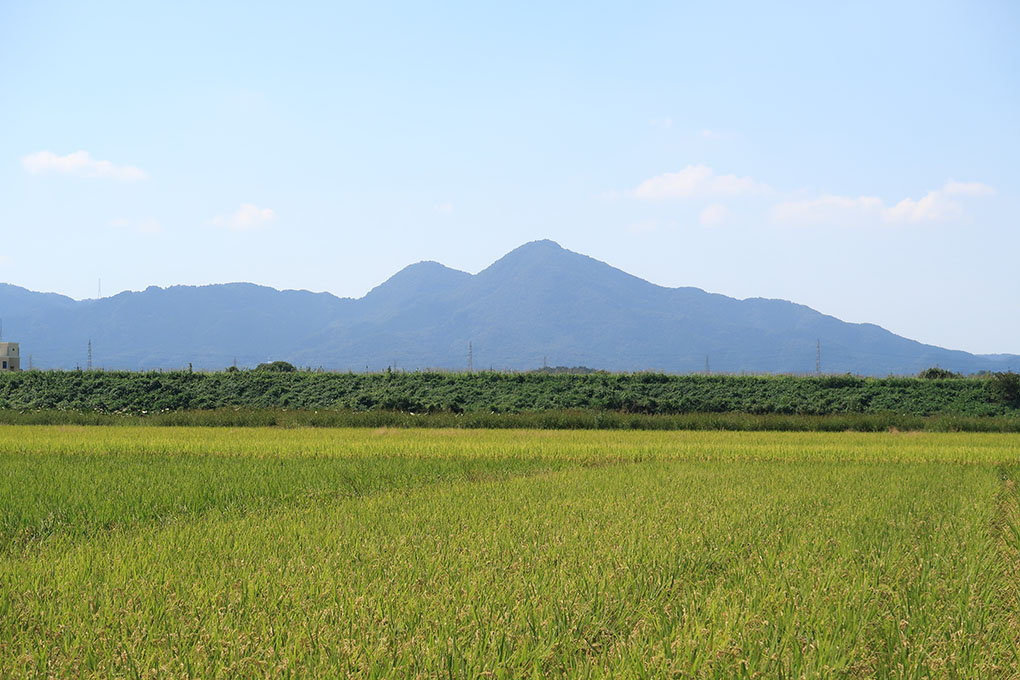 彼岸明けの真夏日