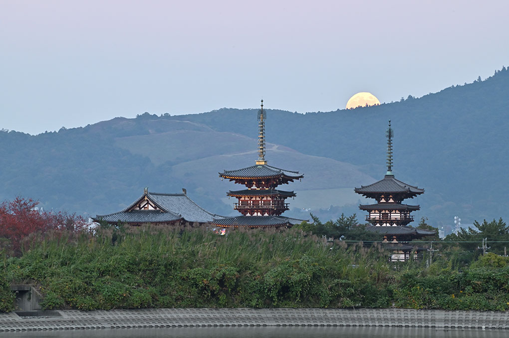 薬師寺日和