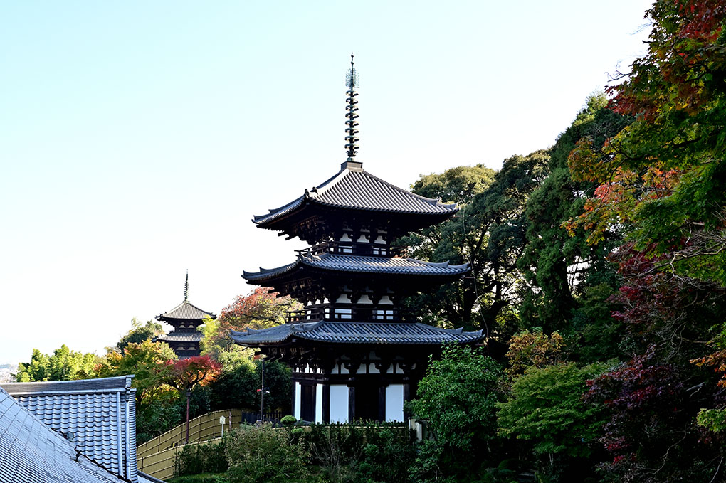 當麻寺の紅葉