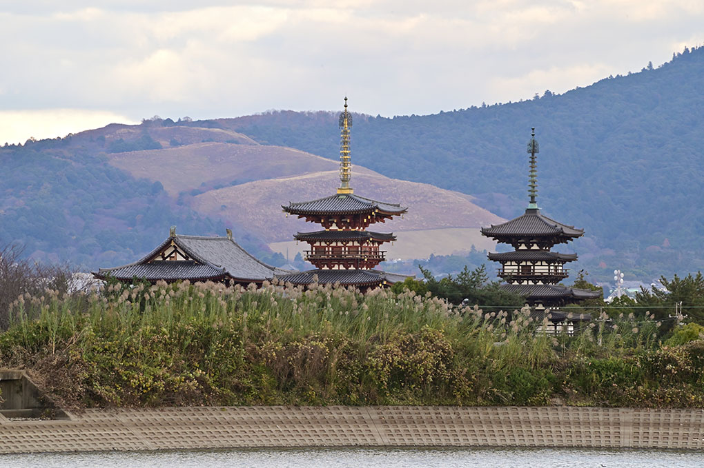 冬空の勝間田池