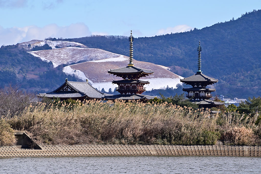 「三笠山雪」のチャンス