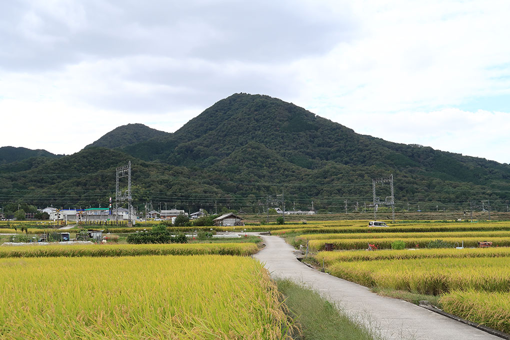 稲刈りの季節と二上山