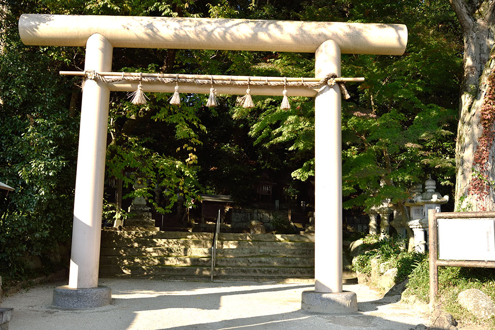 奈良って鳥居が多すぎる