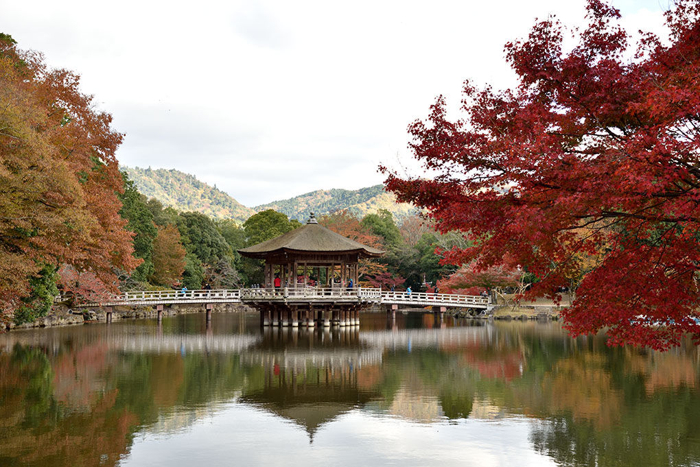 奈良公園の浮見堂