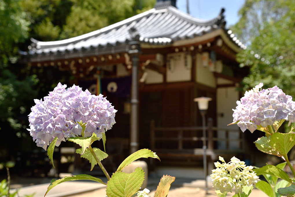 長弓寺