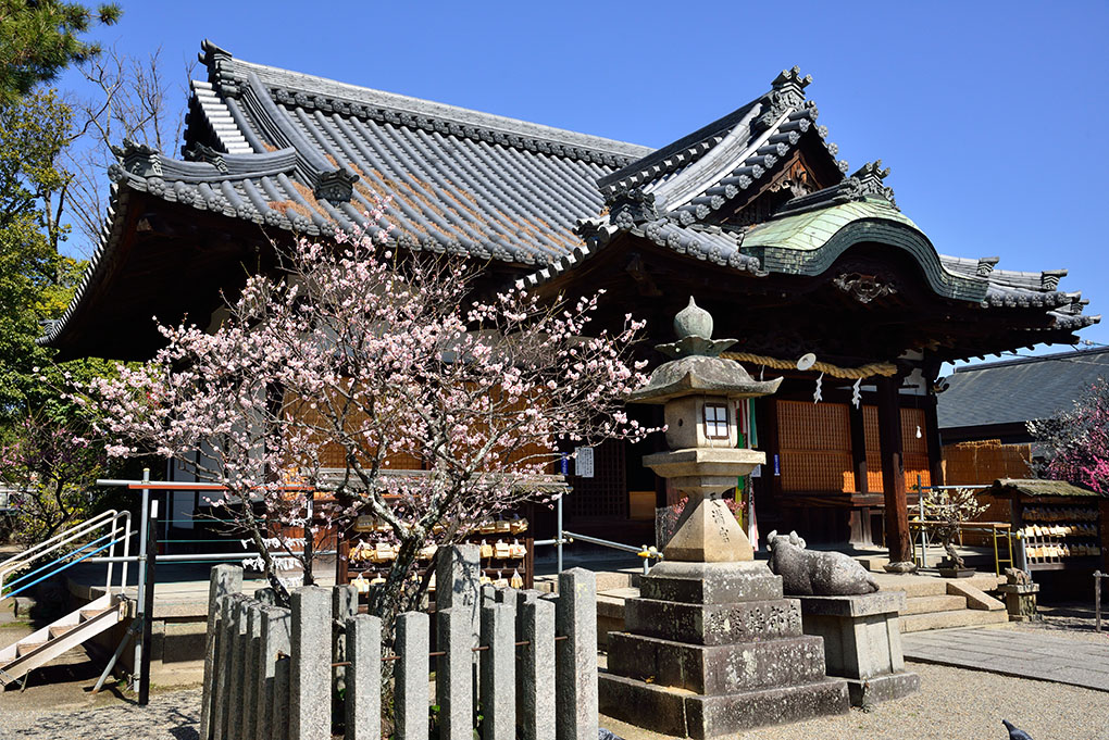 東風吹かば にほひおこせよ 梅の花