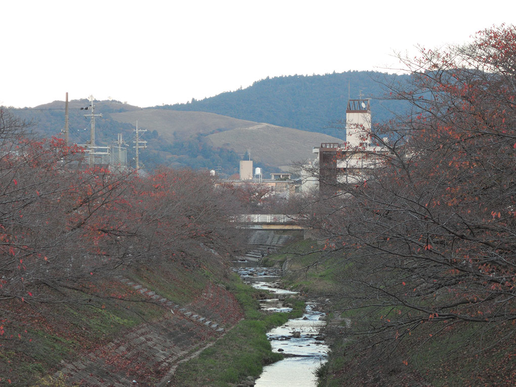 佐保川と若草山