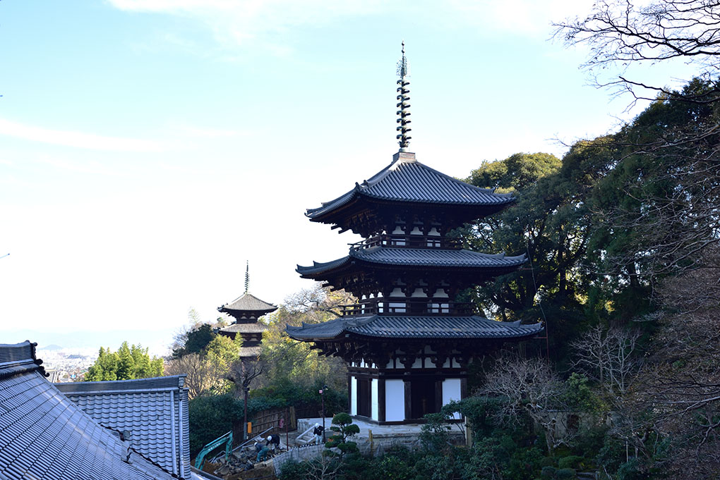 東西揃い踏み