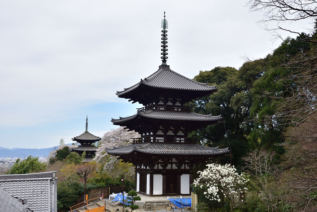 當麻寺西南院の春風景