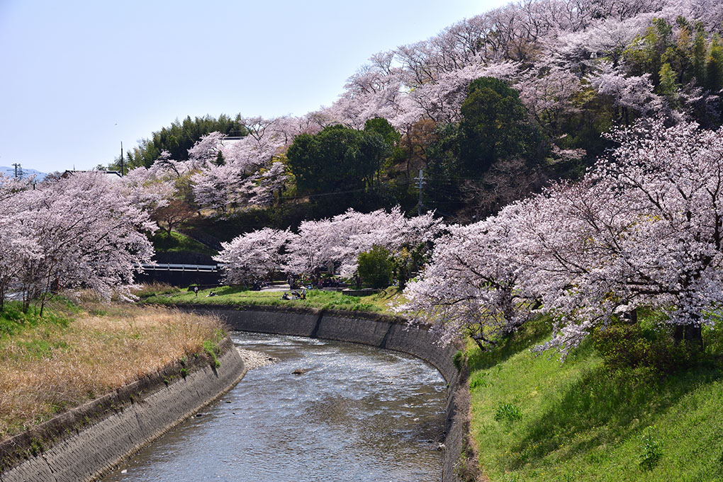 竜田川