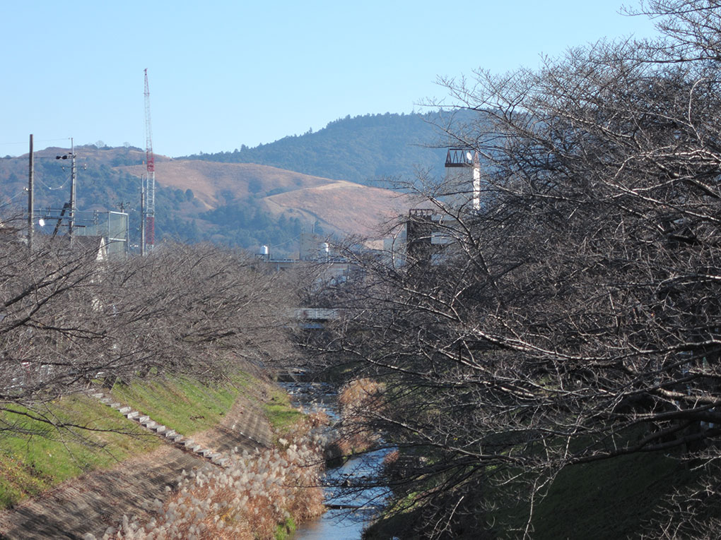 大和路の冬風景