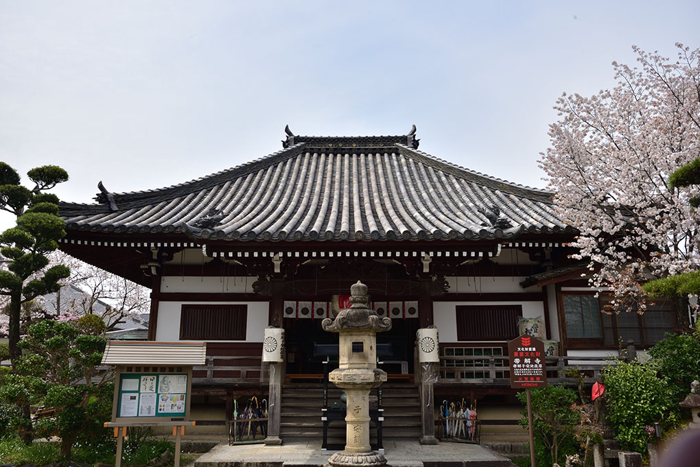 帯解寺と桜