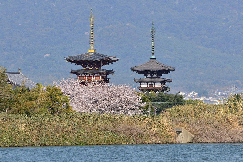 大和路、春の風景