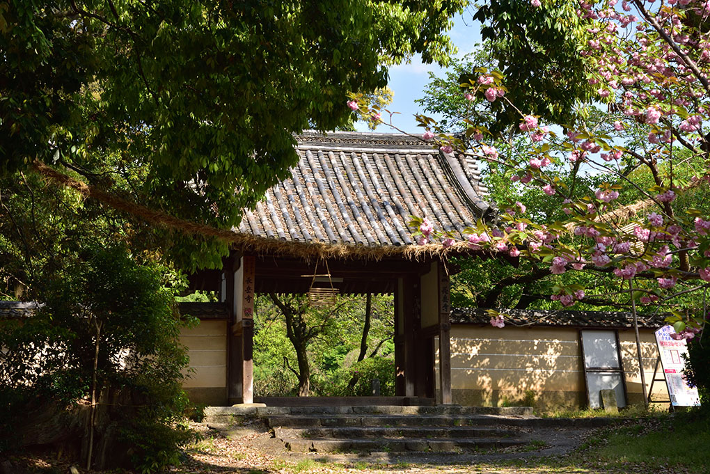 関西花の寺第十九番
