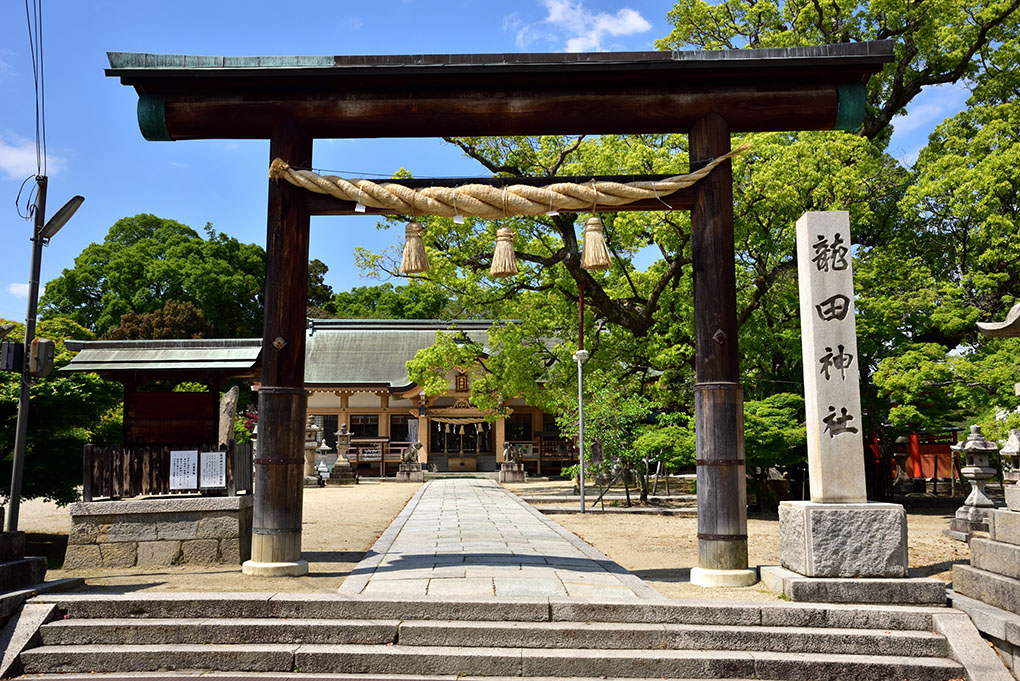 人がいない