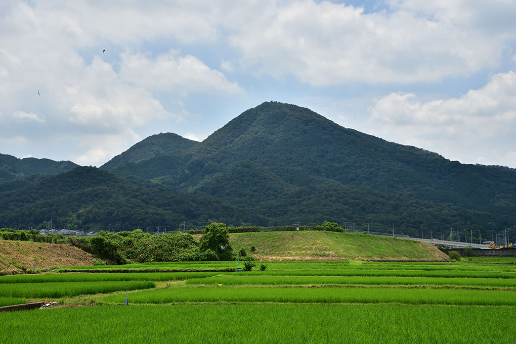 景色は既に夏