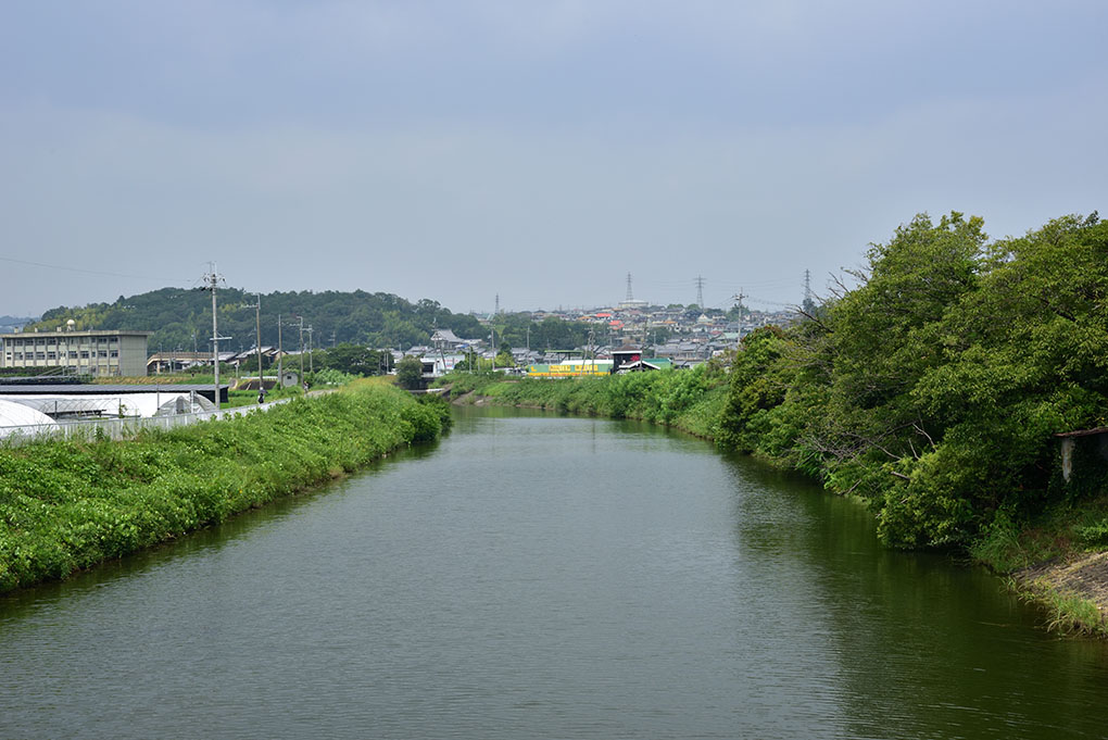 夏本番