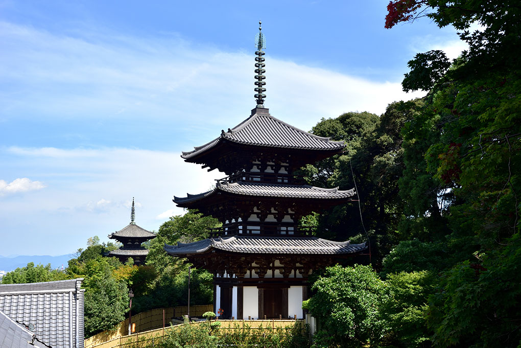お盆明け
