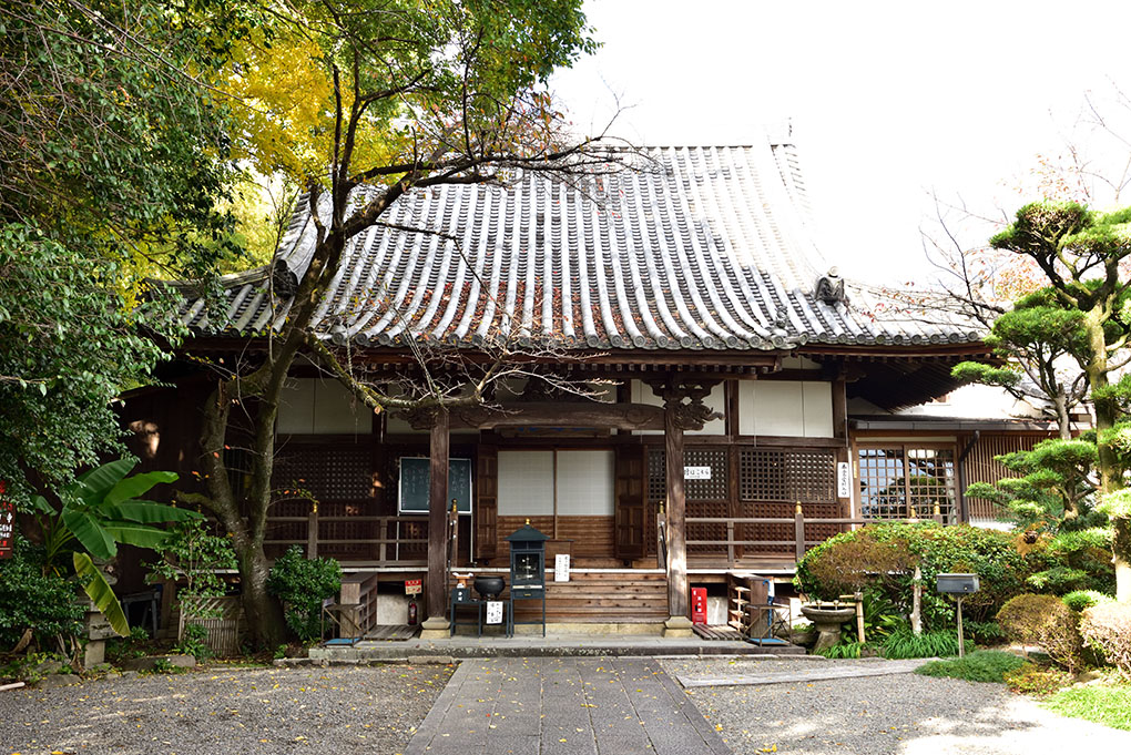 秋桜の里
