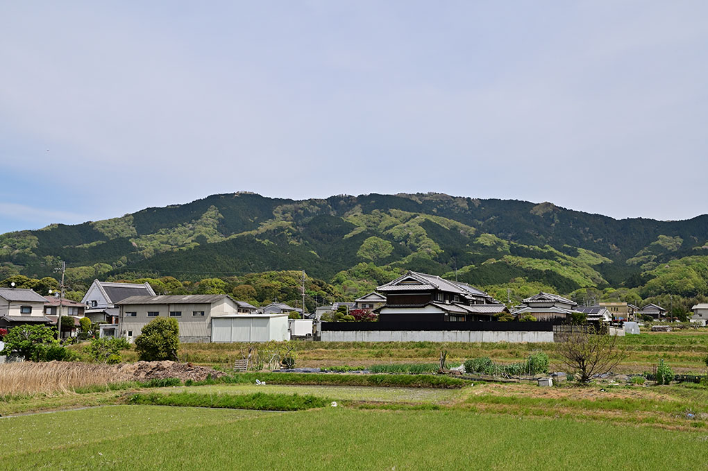 困った時の神頼み