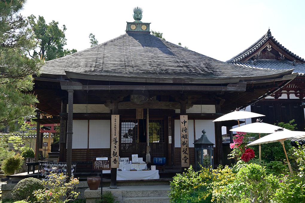 當麻寺中之坊の白藤