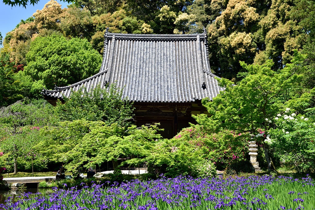 長岳寺、再び