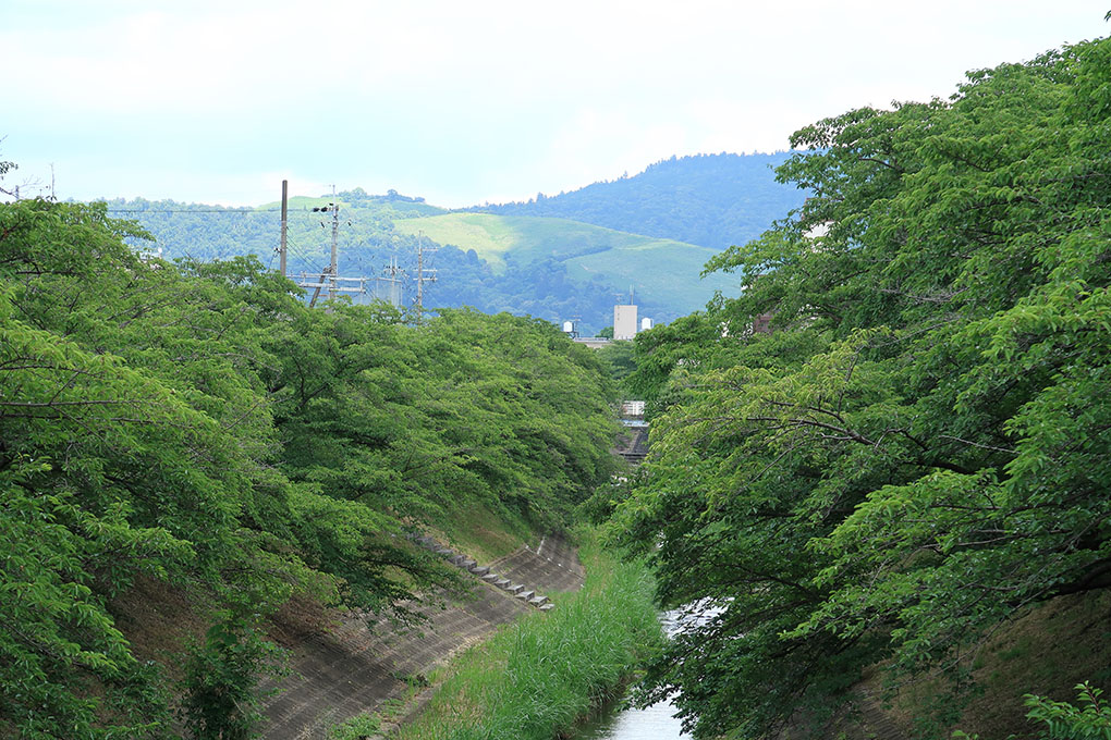 梅雨明けが待ち遠しい