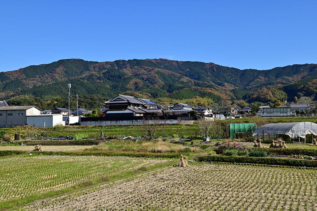 大神神社の紅葉