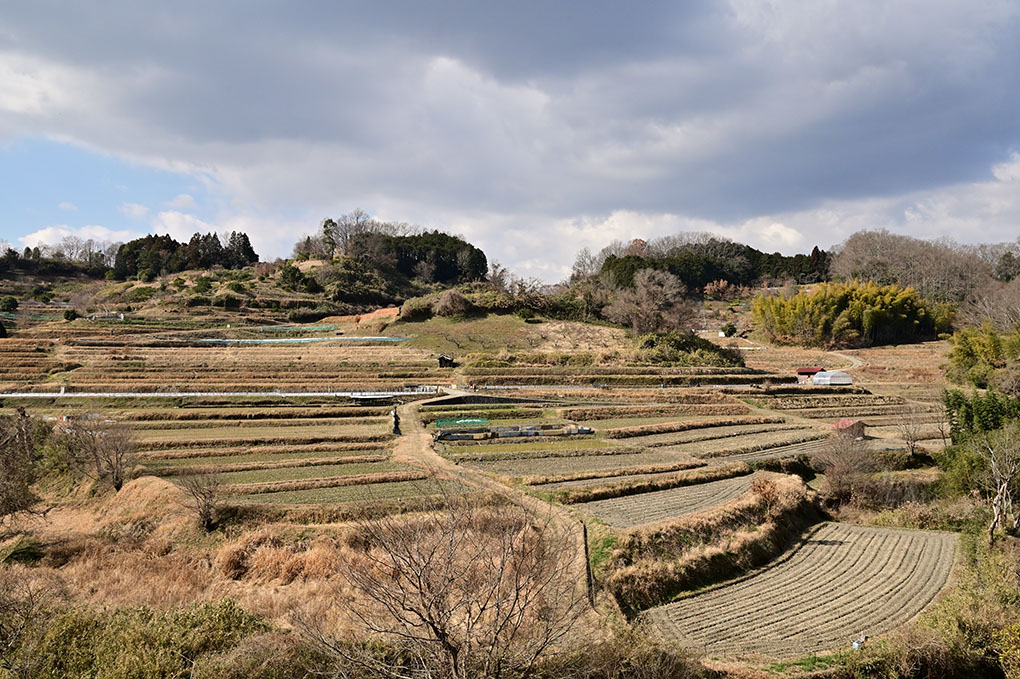奥明日香の見どころ
