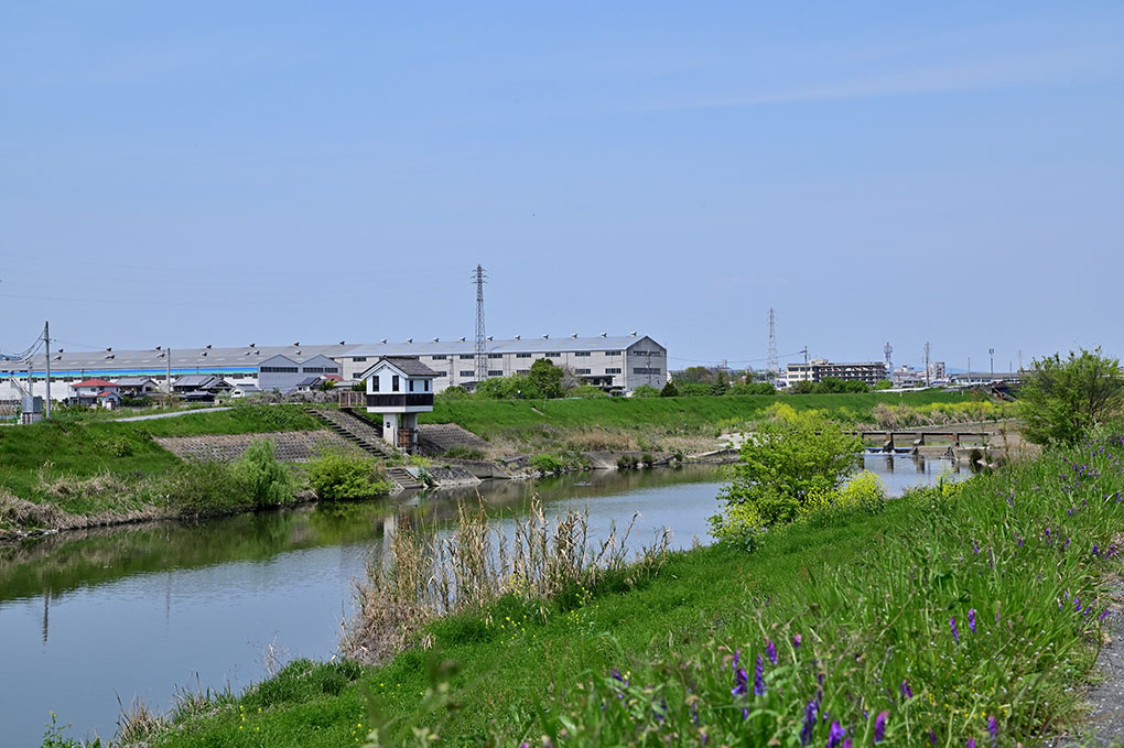 川沿いを走る