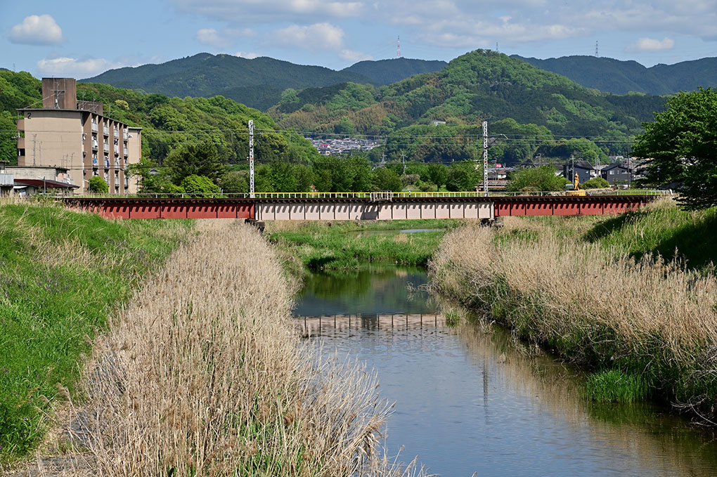 自然がいっぱい、初瀬川（大和川）