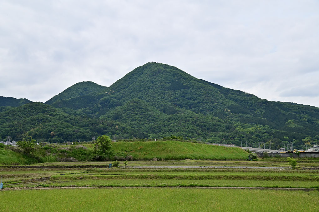 梅雨入り間近？