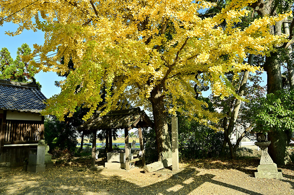 秋が進む